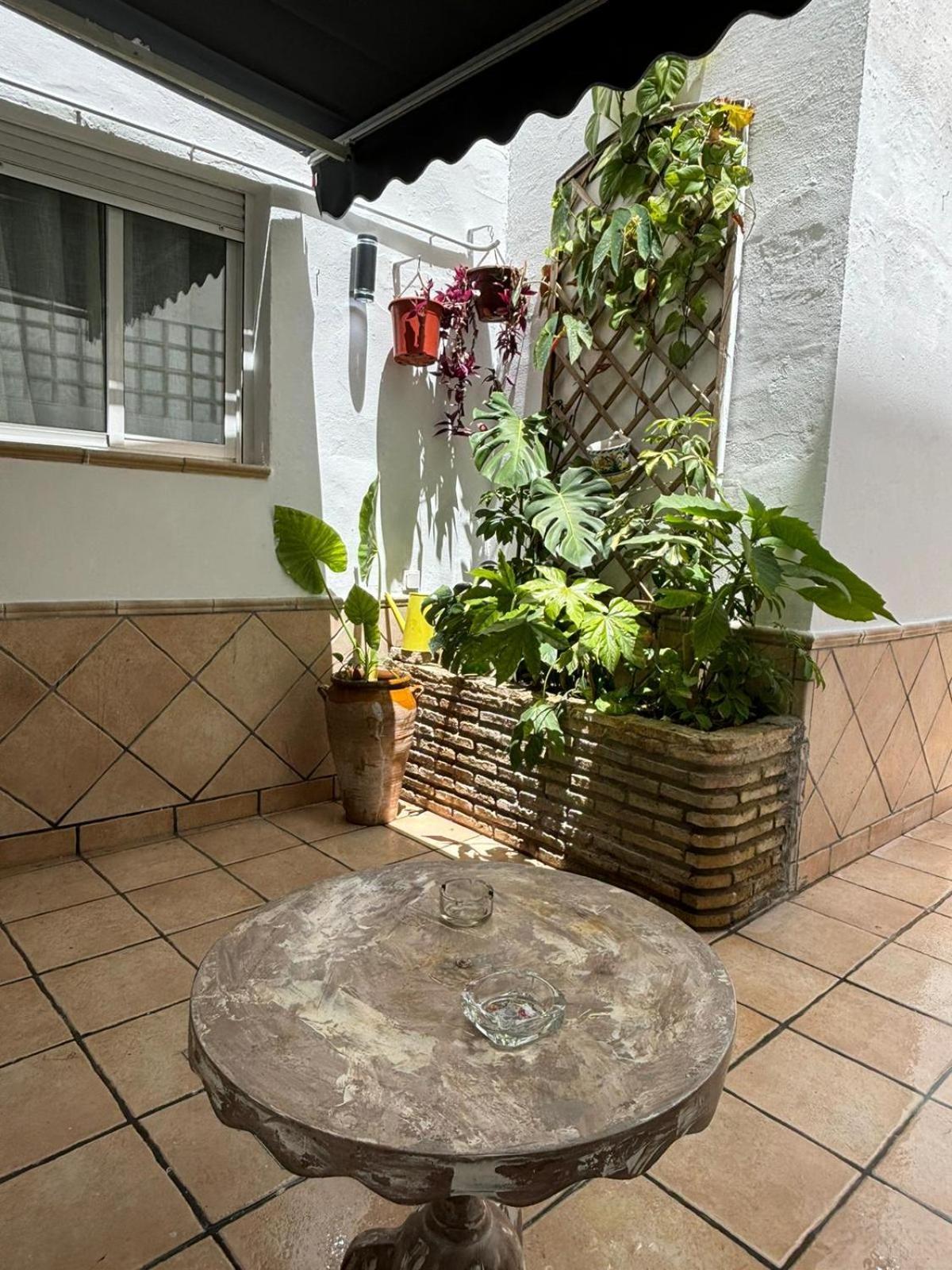 סביליה Panther Home Pureza מראה חיצוני תמונה