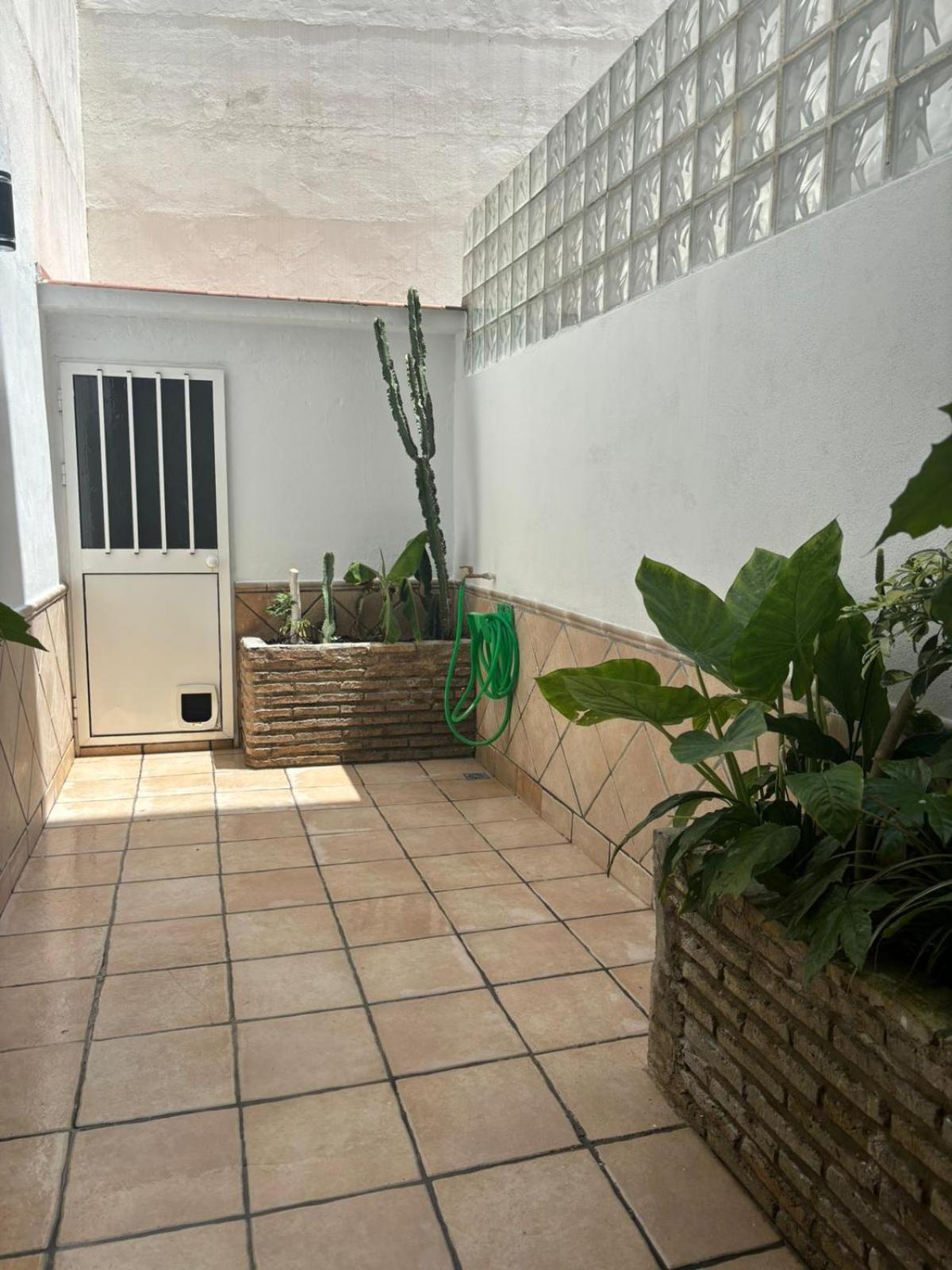 סביליה Panther Home Pureza מראה חיצוני תמונה
